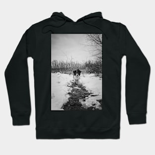 on a frozen path Hoodie